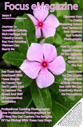 Focus Magazine Issue 9a
