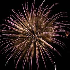 Fireworks Photo